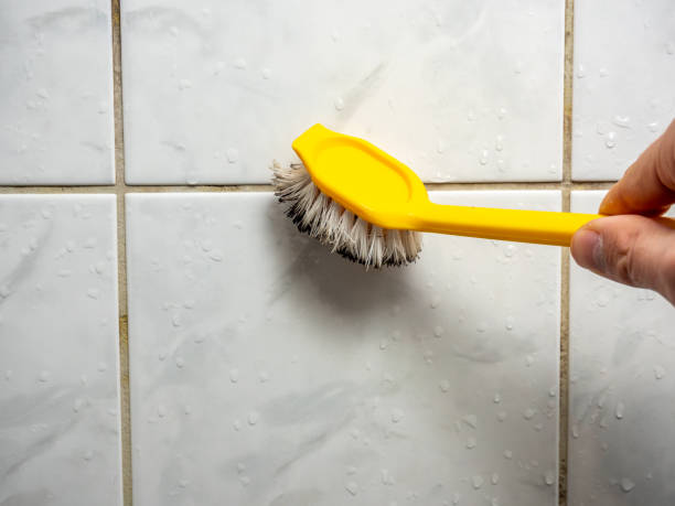 Best Certified Mold Removal  in Monroeville, PA