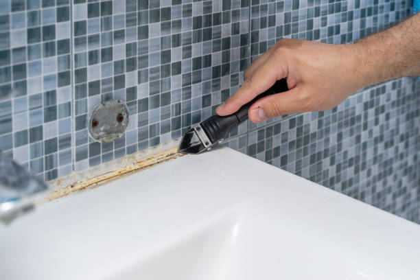 Certified Mold Removal in Monroeville, PA