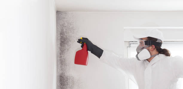 Mold Removal and Inspection in Monroeville, PA